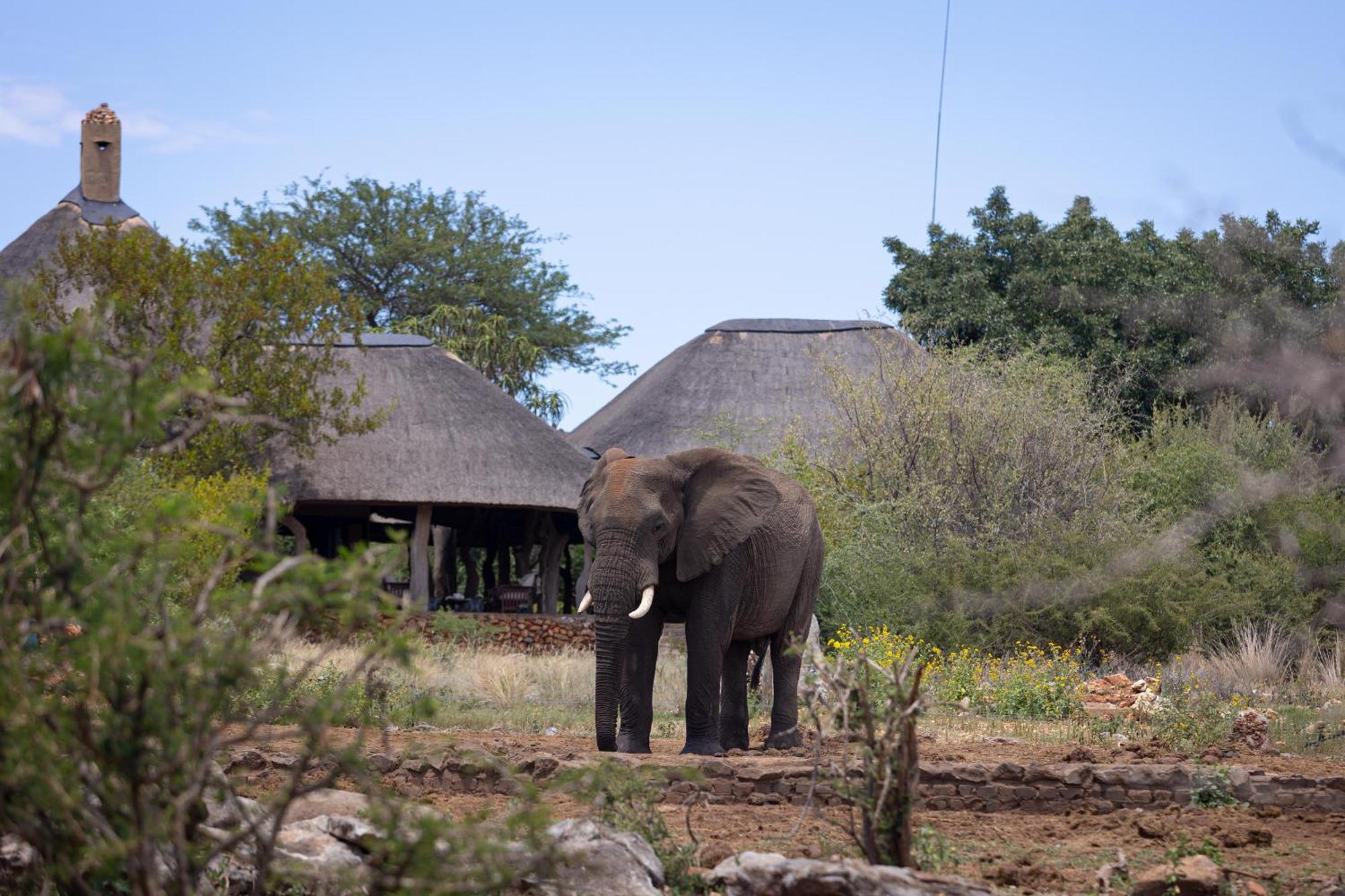 Rhulani Safari Lodge Заповедник Мадикве Экстерьер фото