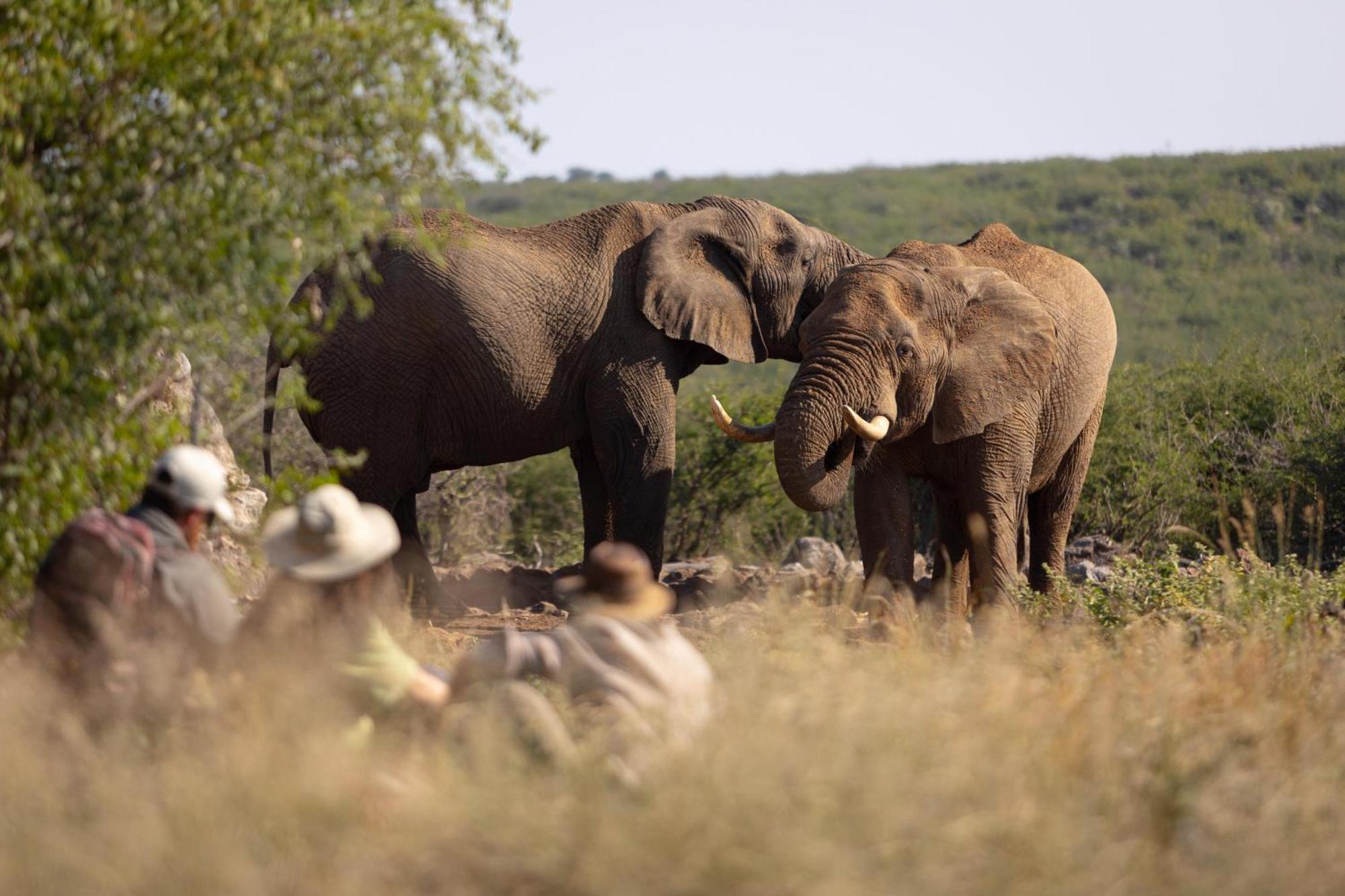 Rhulani Safari Lodge Заповедник Мадикве Экстерьер фото