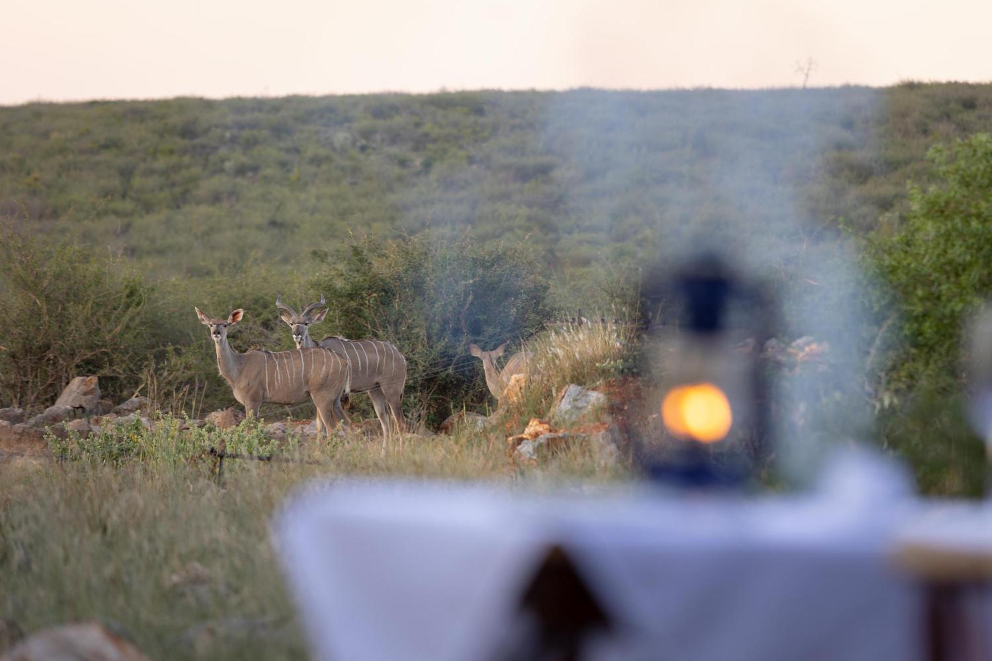 Rhulani Safari Lodge Заповедник Мадикве Экстерьер фото